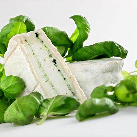 Ziegen-Camembert Basilikum